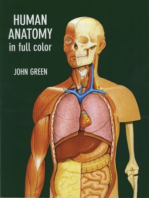 cover image of Human Anatomy in Full Color